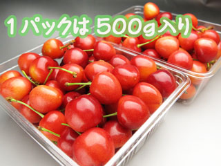 1パックは500g入り